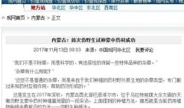 新浪网爆料相关新闻,最新热点事件深度解析