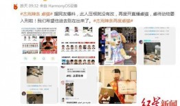 杰克新闻爆料视频,揭秘新闻背后惊人真相