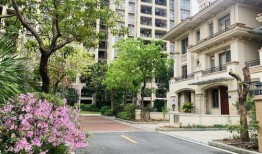 广州爆料事件最新消息