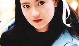 扒叔爆料蓝洁瑛视频,尘封往事再掀波澜