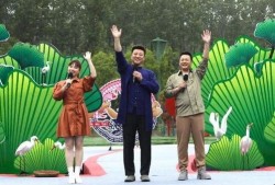 哈利最新爆料牛仔裤视频,牛仔裤背后的时尚秘密与潮流趋势