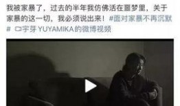 最新爆料家暴男子是谁,涉嫌家暴男子身份揭晓，真相令人震惊