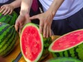 娱乐吃瓜酱中式be学,揭秘中式BE学生的酸甜苦辣