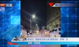 资阳富豪爆料新闻现场视频,揭秘财富背后的真相