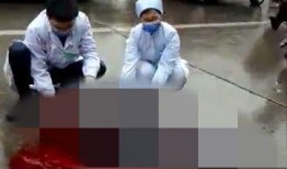 电动车少年事件最新爆料,最新爆料揭露惊人内幕