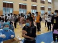 子鹏音乐爆料最新消息,最新动态揭秘，带你领略音乐界风云变幻