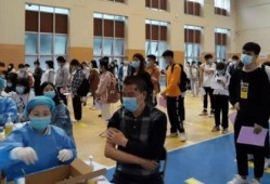 子鹏音乐爆料最新消息,最新动态揭秘，带你领略音乐界风云变幻