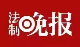 陈村新闻最新爆料,揭秘重大事件背后真相