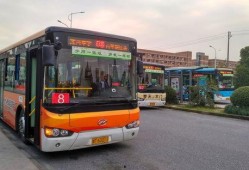 嘉兴最新公交爆料,揭秘最新线路调整与优化