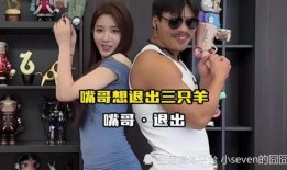 泰国华裔爆料事件视频播放,真相与偏见交织