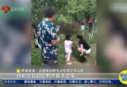 孔雀爆料直播视频大全集,直播视频全集揭秘幕后故事