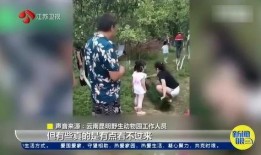 孔雀爆料直播视频大全集,直播视频全集揭秘幕后故事