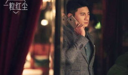 电视剧一粒红尘在线观看,红尘纷扰，爱恨情仇的都市传奇