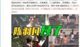 2010爆料视频,揭开不为人知的秘密面纱