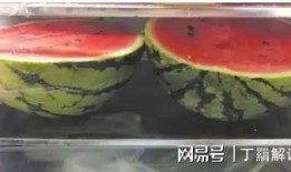 网曝免费吃瓜,快来一探究竟！