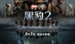 黑豹2在线观看,震撼回归，王者再临！