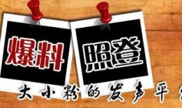 彩塘新闻爆料,揭秘彩塘镇最新动态与热点事件