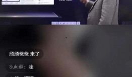 珠海爆料哥直播视频,带你探秘珠海城市魅力与民生百态