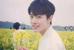 圈内爆料杨紫肖战的视频