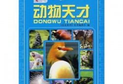 走进科学在线观看,走进科学在线观看之旅