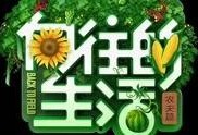 娱乐爆料阅读,明星幕后故事大曝光