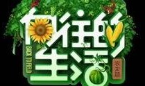 娱乐爆料阅读,明星幕后故事大曝光