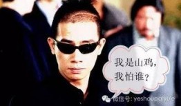 陈小春娱乐爆料视频大全,揭秘明星幕后故事