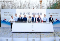 正东中央公馆新闻爆料最新,揭秘豪宅背后的惊人真相！