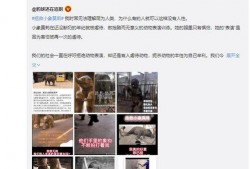 小象莫莉首次爆料视频,独家爆料背后的故事