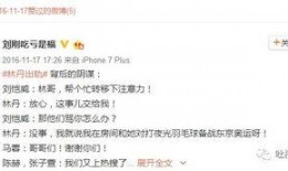 卓伟爆料张嘉倪事件视频,张嘉倪事件视频引发热议