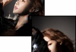 女明星爆料模板免费视频,免费视频背后的惊人真相