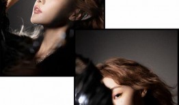 女明星爆料模板免费视频,免费视频背后的惊人真相