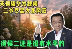 二爷最新爆料新闻事件视频,最新爆料新闻事件视频深度解析