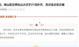 青岛爆料最新消息新闻,聚焦城市热点事件追踪