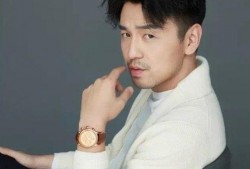 王玮爆料雷佳音视频,真相背后引热议