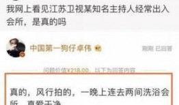 卓伟爆料张嘉倪事件视频,张嘉倪事件视频引发热议