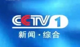 双流电视台新闻爆料,聚焦当地热点事件