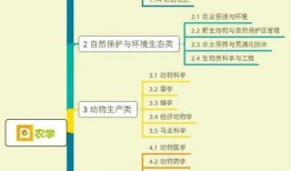 拳击玄武爆料视频大全集,揭秘精彩瞬间与幕后故事