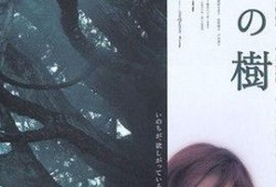透光的树 在线观看,探寻自然之美