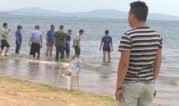 青岛海边爆料最新消息,惊现神秘海生物引发热议