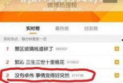 卓伟爆料张嘉倪事件视频,张嘉倪事件视频引发热议