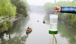 治水最新爆料信息,揭秘最新爆料背后的水利工程突破